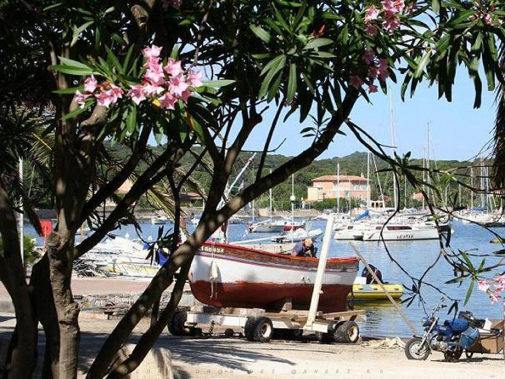 183 ILE DE PORQUEROLLES -4_000018.jpg